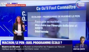 Écologie: quelles sont les mesures proposées par Emmanuel Macron et Marine Le Pen ?