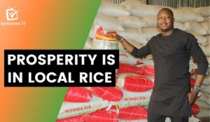Burkina Faso: Prosperity is in local rice