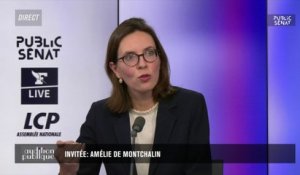 Cabinets de conseil : le gouvernement reprend des propositions du Sénat, selon Amélie de Montchalin