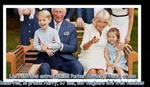 Camilla Parker Bowles - cette récente affaire de garde-robe qui a mis le prince Harry hors de lui
