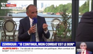 Éric Zemmour: "J'ai été victime du bombardement médiatique incessant"