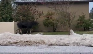 Une promenade inusitée