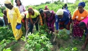 COP15 : le difficile accès des femmes a la propriété foncière rurale