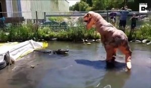 Un  homme dans un costume de T-Rex chahute un alligator