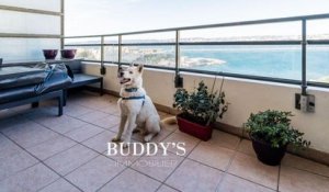 Marseille : une agence immobilière intègre des animaux à adopter dans les photos de ses biens