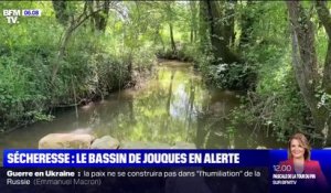 Sécheresse: dans les Bouches-du-Rhône, le bassin du "Réal de Jouques" placé en état de "crise", le plus haut niveau de gravité
