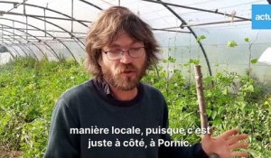 Yoann Morice, paysan bio à Chauvé, Loire-Atlantique