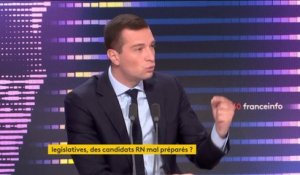 Législatives : Jordan Bardella (RN) appelle les Français "à donner de la force" au RN pour les "défendre à l'Assemblée nationale"