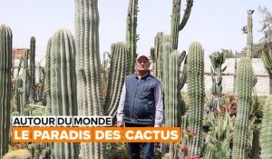 Autour du monde : la ferme de cactus