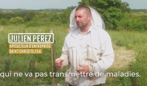 Comment avoir des abeilles en bonne santé