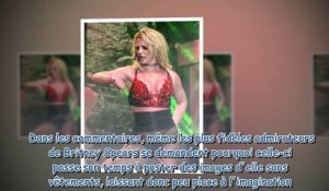 Britney Spears - ses fans inquiets après de nouvelles photos de la chanteuse totalement nue
