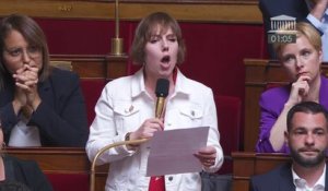 Sarah Legrain (LFI) interpelle la ministre de la Culture: "Justine Triet fait plus pour l'exception culturelle que vous"