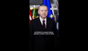 Réélection d'Ergodan: comment la relation entre l'Europe et la Turquie pourrait-elle évoluer?