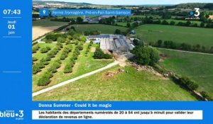 01/06/2023 - Le 6/9 de France Bleu Mayenne en vidéo