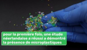 Des particules plastiques retrouvées dans le sang humain, une première mondiale