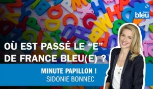 Où est passé le "e" de France Bleu(e) ?