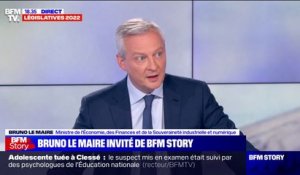 Bruno Le Maire: "Nous sommes déterminés à arracher cette majorité" aux élections législatives