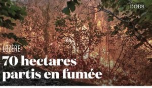 Un incendie consume 70 hectares de forêt dans les gorges du Tarn