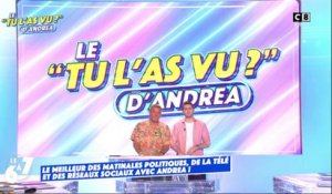 Le "Tu l'as vu ?" d'Andréa Bruche : retour sur les législatives !