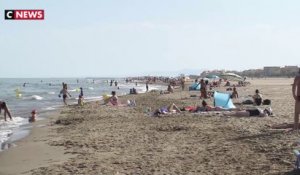 Narbonne : des Toulousains viennent profiter de la fraîcheur de la mer