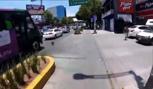 Un cycliste poursuit un chien fou dans la rue