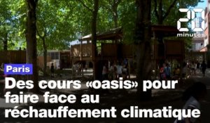 Paris : Des cours « oasis » pour faire face au réchauffement climatique