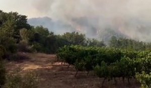 Des Canadair déployés dans l'Hérault pour éteindre plusieurs incendies. Crédits : SDIS 34