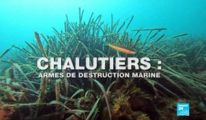 Chalutiers : armes de destruction marine