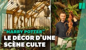 Harry Potter: la serre du Professeur Chourave ouvre au public à Londres