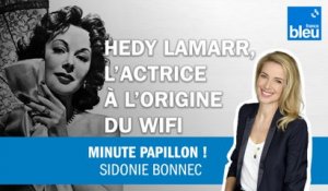 Hedy Lamarr, l'actrice à l'origine du Wifi
