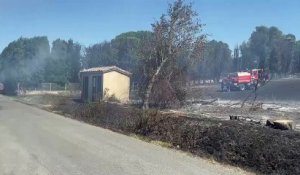 Les pompiers des Bouches-du-Rhône sont engagés sur un feu de végétation au sud d'Arles