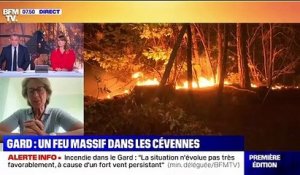 Gard: "La préfète va prendre un arrêté" interdisant les feux d'artifice, indique la ministre Caroline Cayeux