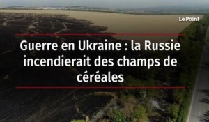 Guerre en Ukraine : la Russie incendierait des champs de céréales