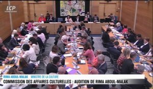 Audition à l'Assemblée nationale - Redevance TV : audition de la ministre de la Culture