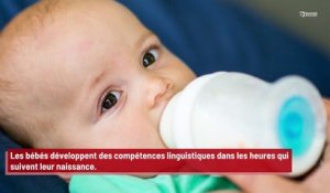 Les bébés développent des compétences linguistiques dans les heures qui suivent la naissance !