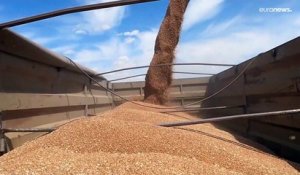 Exportations des céréales ukrainiennes : un accord trouvé