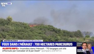 Incendies dans l'Hérault: "L'hélicoptère tournait autour de moi et est descendu un peu pour me faire comprendre qu'il fallait que je parte", raconte un livreur