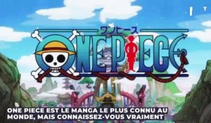 5 choses à savoir sur One Piece