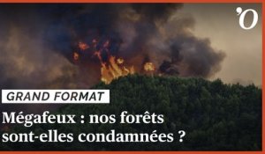 Mégafeux: nos forêts sont-elles condamnées ?