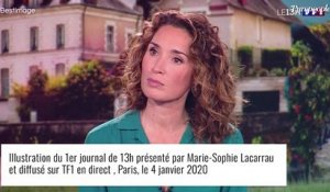 Marie-Sophie Lacarrau comblée : vacances de rêve en famille, elle montre des photos paradisiaques