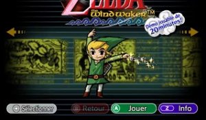 The Legend of Zelda : Collector's Edition online multiplayer - ngc