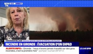 Incendie en Gironde: l'ARS Nouvelle-Aquitaine recommande "aux personnes très fragiles de porter un masque FFP2"