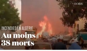 Des feux de forêt ravagent l'Algérie depuis plusieurs jours