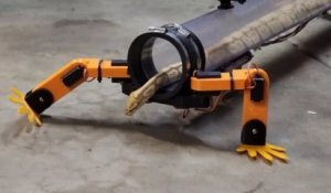 Un YouTubeur crée un exosquelette adapté aux serpents pour leur rendre leurs pattes