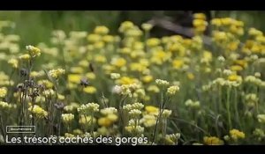 [BA] Les trésors cachés des gorges - 06/09/2022