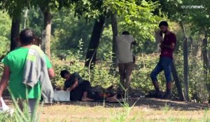Des milliers de migrants tentent de traverser la frontière serbo-hongroise
