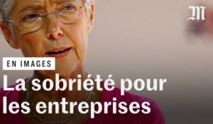 Elisabeth Borne appelle les entreprises à établir leur « plan de sobriété »
