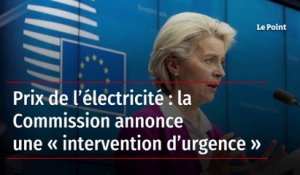 Prix de l’électricité : la Commission annonce une « intervention d’urgence »