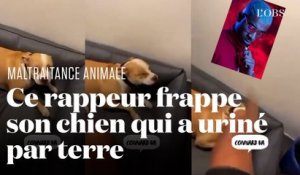 Le rappeur Timal se filme en train de frapper son chien, l'animal saisi