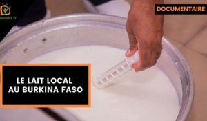 Burkina Faso : Le lait local au Burkina Faso